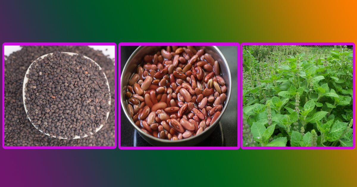 मिर्गौलामा पत्थरी भएको छ ? घरेलु उपायद्वार यसरी सजिलै हटाउन सकिन्छ