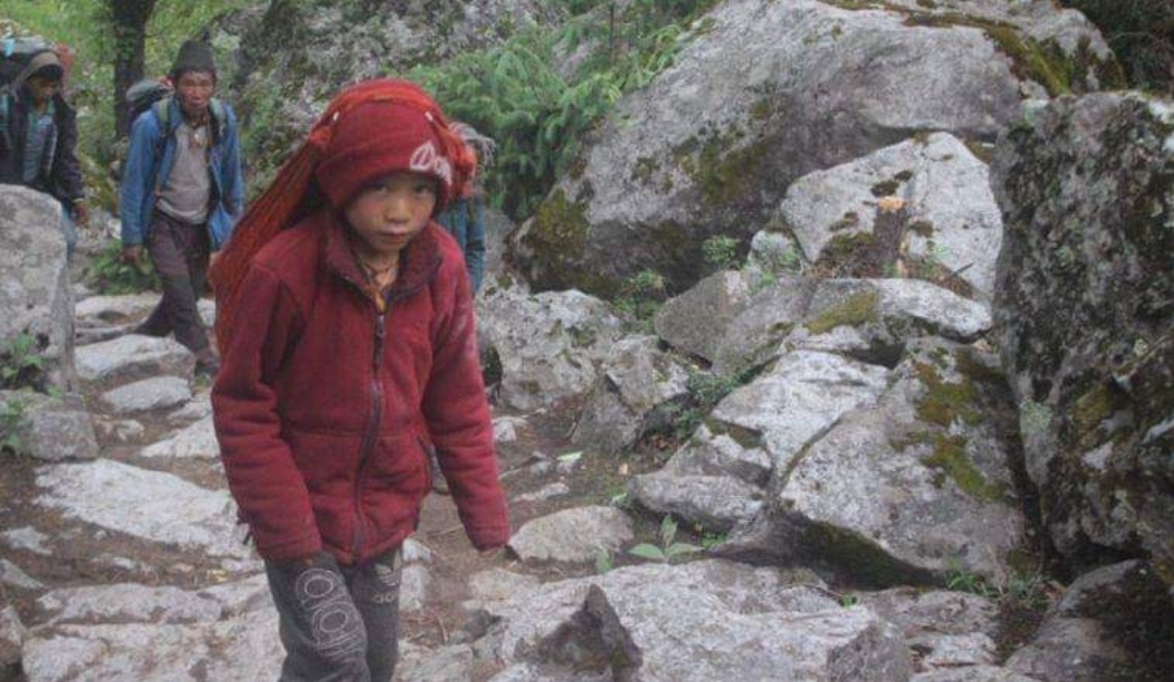 प्रधानमन्त्रीकी छोरीसँगै पत्नी राधिकाकी छोरी पनि यार्सा संकलन गर्न लागे पाटन
