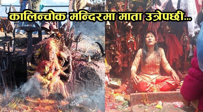 कालिन्चोक मन्दिरमा मलाई बलि नदेउ भन्दै माता उत्रेपछि, ल्याएको बलि फिर्ता (भिडियो सहित)