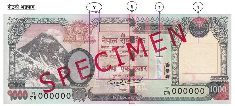 बजारमा सयदेखि हजारसम्मका नक्कली नोट देखिंदै, यसरी चिन्नुस् नक्कली नोट