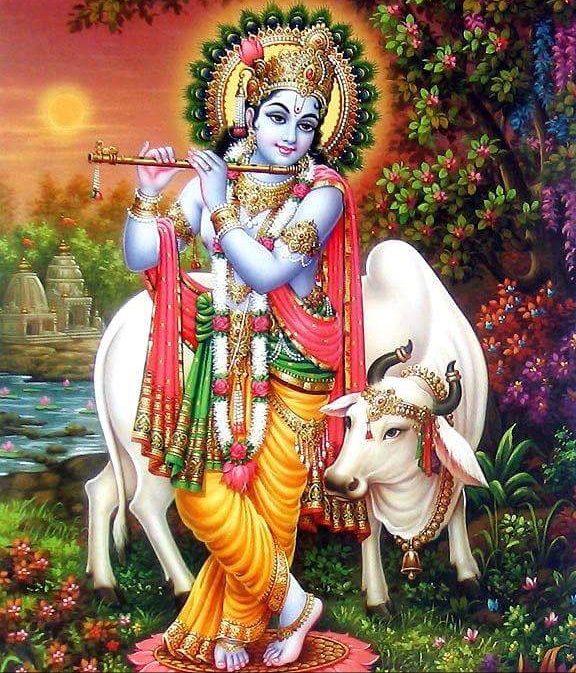 आज बुधबारको दिन कृष्ण भगवानको पुजा र व्रत बस्ने विधिबारे जान्नुहोस