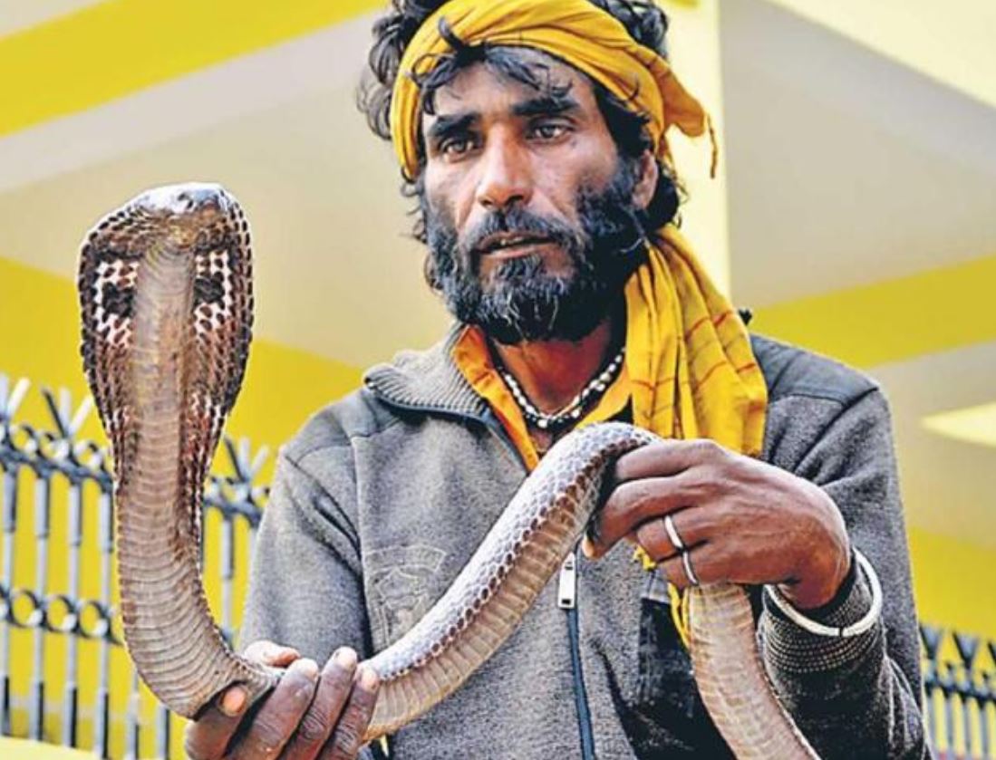 अनौठो समुदाय जहाँ दुलहीलाई दाइजोमा दिइन्छ विषालु सर्प