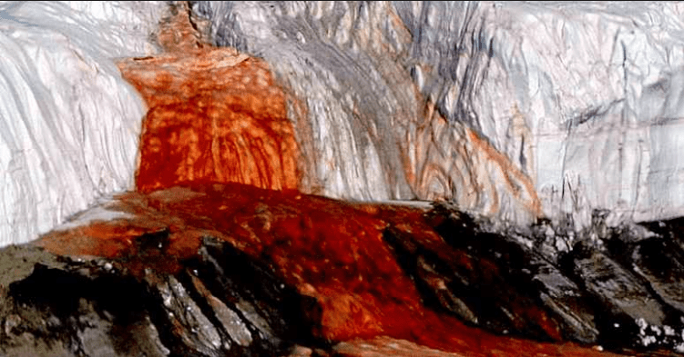 के तपाईंले रगत बग्ने झरना को बारेमा कहिल्यै सुन्नुभएको थियो ? | BLOODY FALLS IN ANTARCTICA