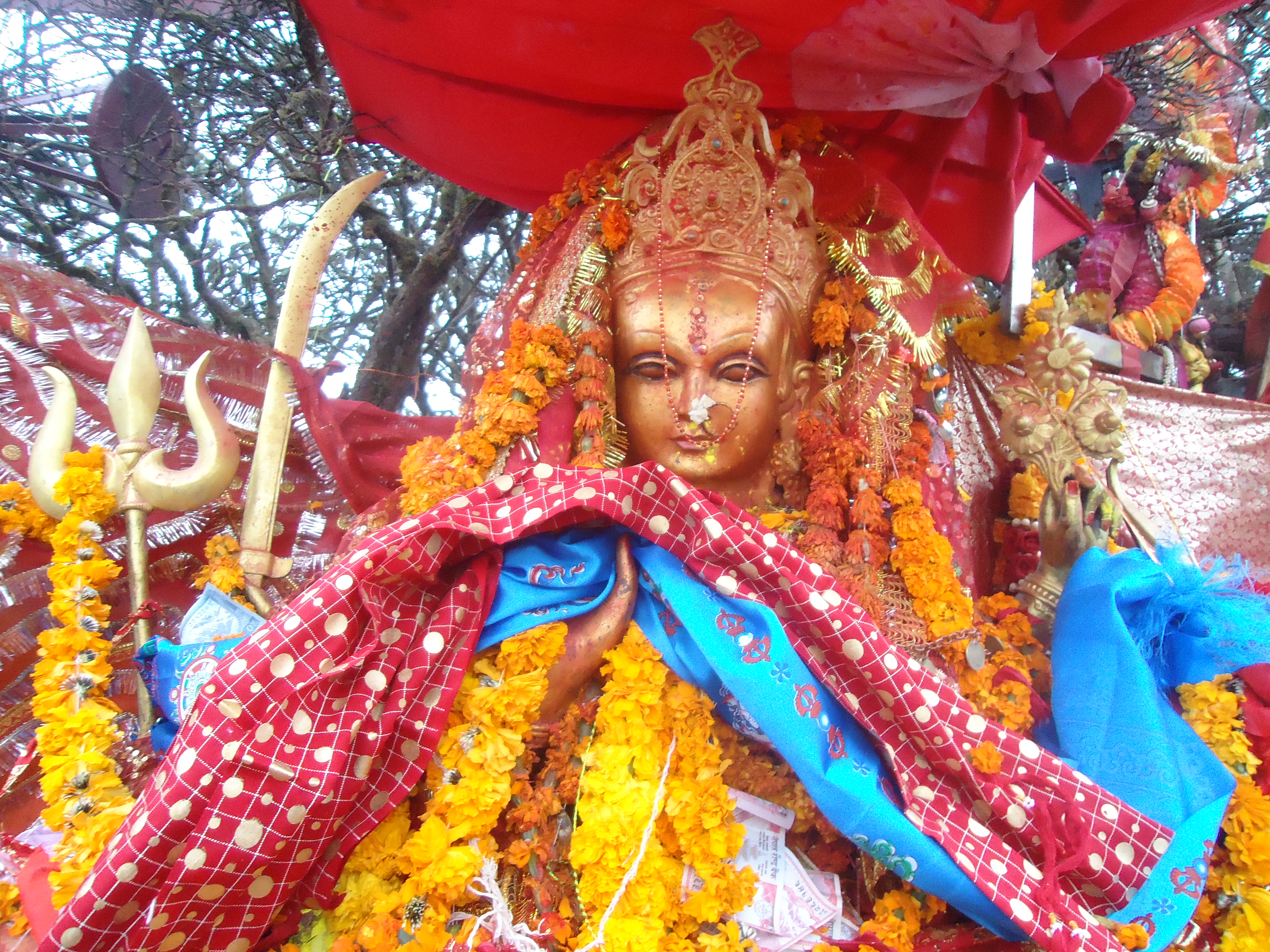 हेर्नुहोस तपाइको आजको राशिफल: वि.सं. २०७६ साउन ८,बुधबार