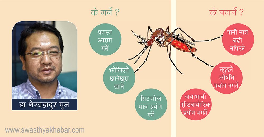 घरमै स्वस्थ्यलाभ गरिरहेका डेंगु संक्रमितले के गर्ने, के नगर्ने?