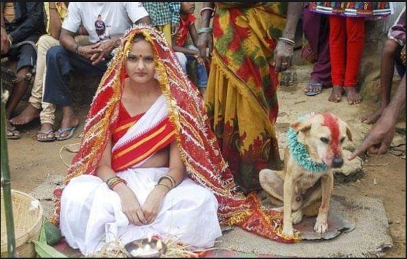 २ सय जनासँग डेटिङ, चित्त नबुझेपछि कुकुरसँग बिहे