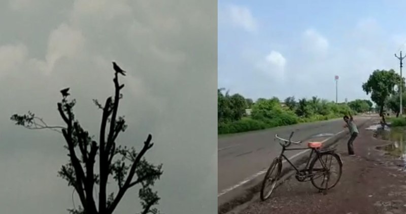 अचम्मको घटना, तीन वर्षदेखि बदला लिइरहेको छ काग