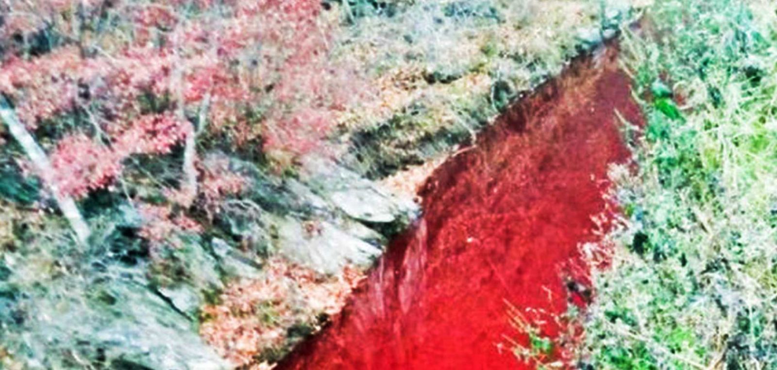उत्तर र दक्षिण कोरियाको सीमामा रहेको नदी कसरी बन्यो रक्ताम्य ?