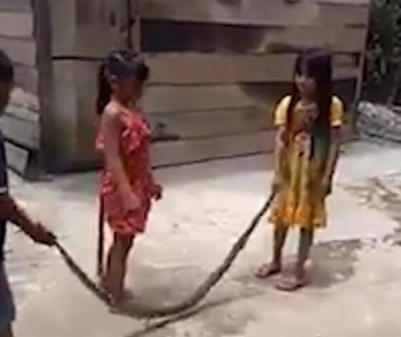यी बालबालिका, जसले 'डोरी नाघी' खेल्न गर्छन मरेको सर्पको प्रयोग (भिडियोसहित)