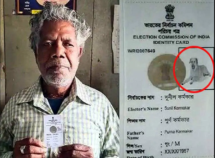 मतदाता परिचयपत्रमा कुकुरको तस्वीर !