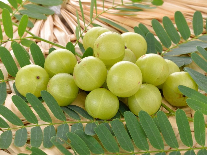 जाडो मौसममा अमला सेवन किन लाभकारी छ ?