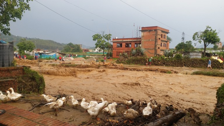 काभ्रेमा ८० बर्ष यताकै भिषण बाढी, पुलहरू बगाए, बस्तीहरु डुबे