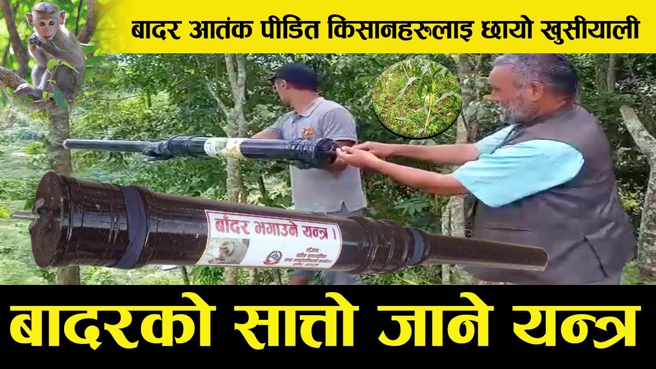 बादर आ’तंकबाट पीडित किसानहरुलाइ नेपाली इतिहासकै खुसीको खबर : बाँँदर धपाʼउने यन्त्र यसरी काम गर्छ (भिडियो सहित)