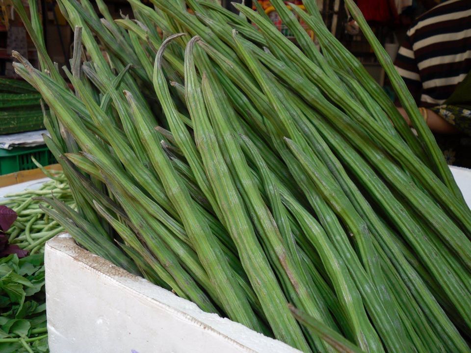 इम्युनिटी पावर बढाउन सजिउन (फाइदा सहित)