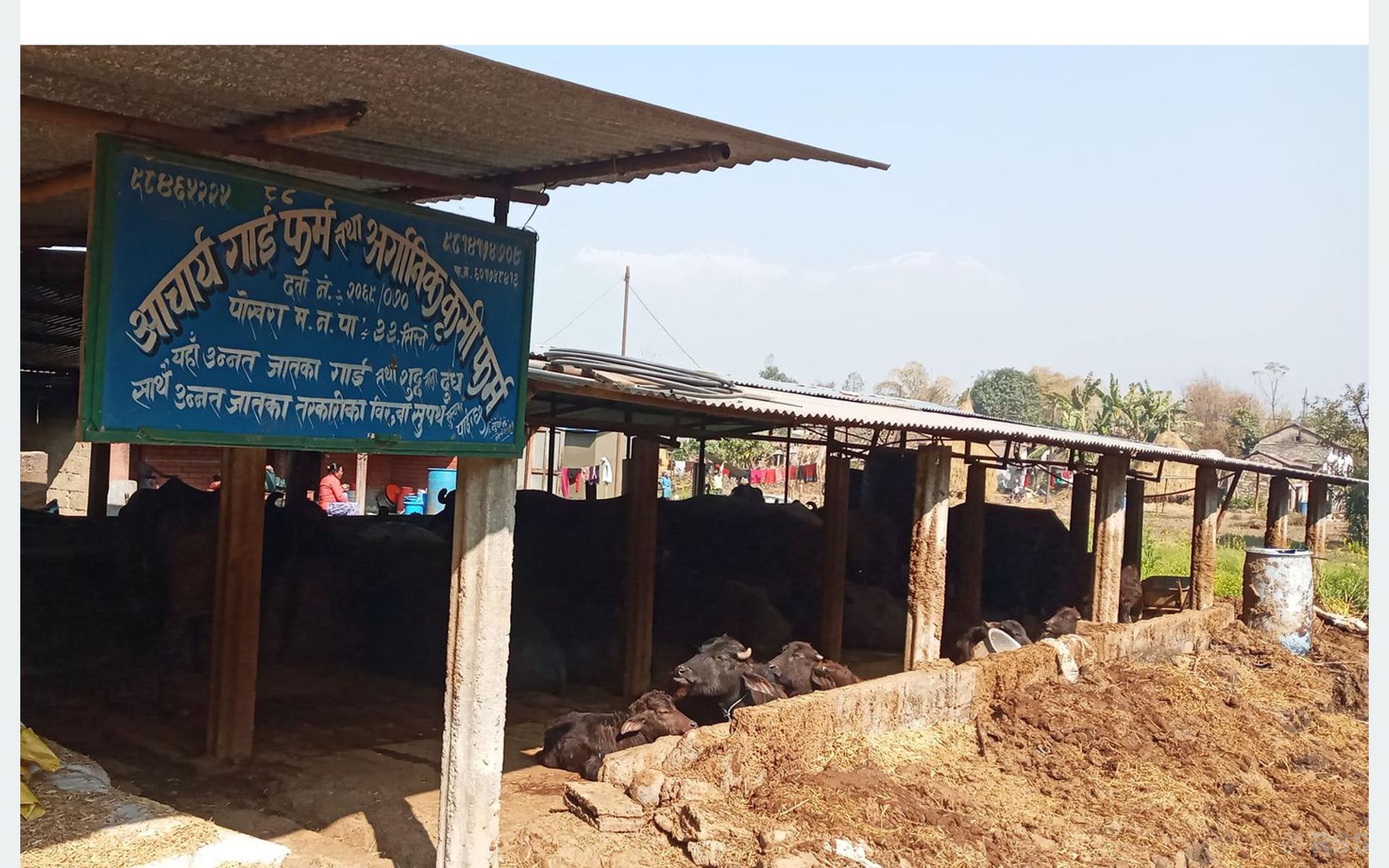 तीन दशककै अन्तरालमा तीन किसिमका उत्पादन