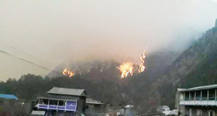 मनाङको जंगलमा लागेको आगो २ महिनापछि नियन्त्रण