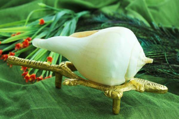 घरमा शंख किन राखिन्छ ?