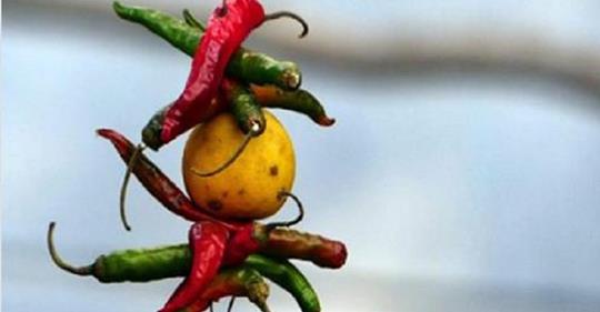 किन झुण्ड्याइन्छ पसल र गाडीमा कागती र खुर्सानीको माला ?