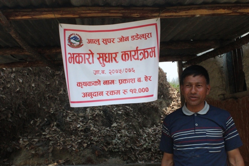 आलु खेतीमा रमाउँदै प्रकाश सर
