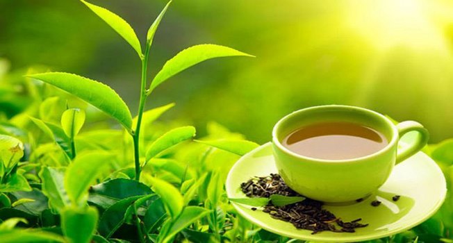 चिया मा सकस:समस्या जहाँको त्यहीँ