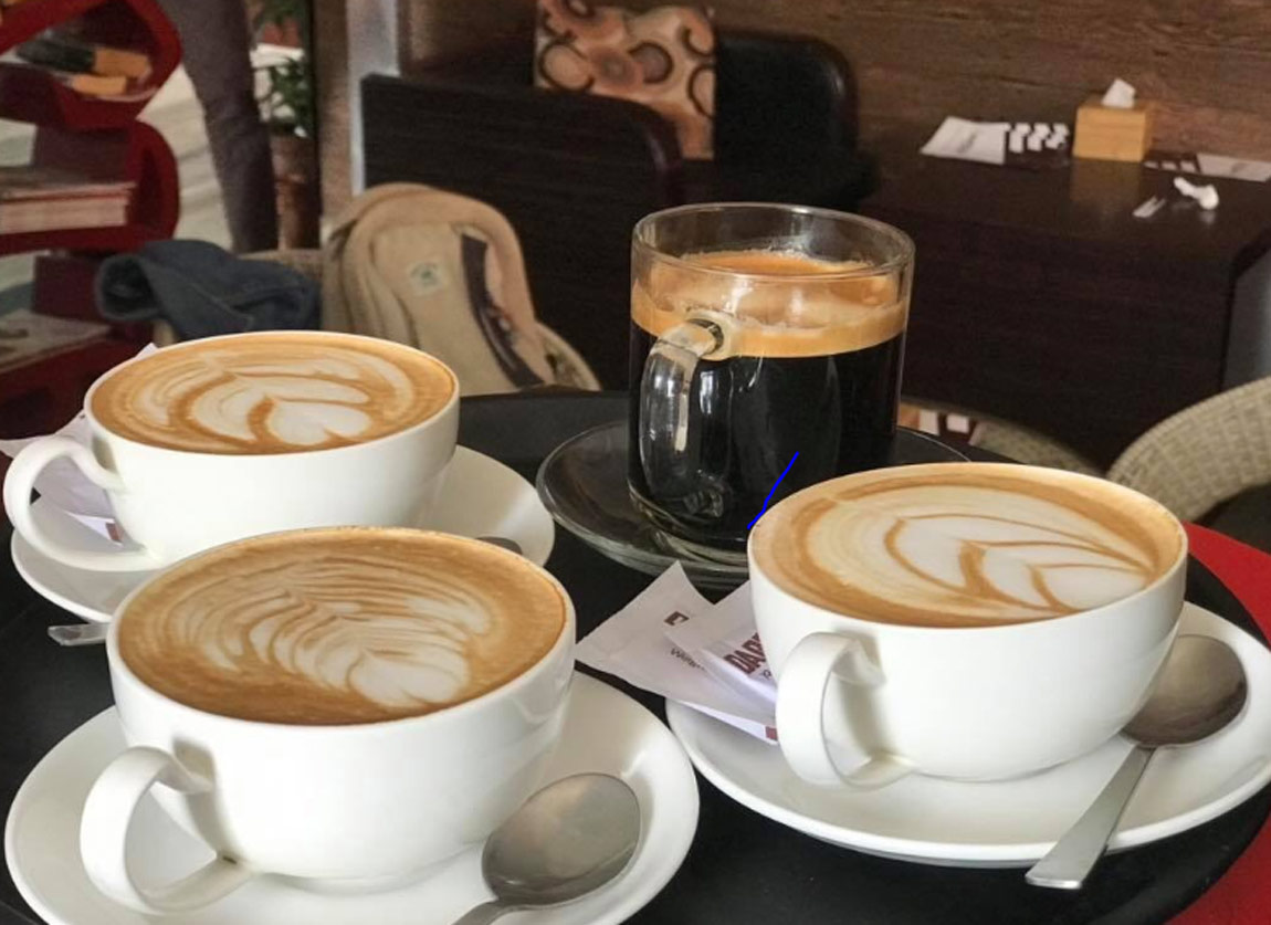 कान नसुन्ने ११ जनालाई कफी बरिस्टा तालिम