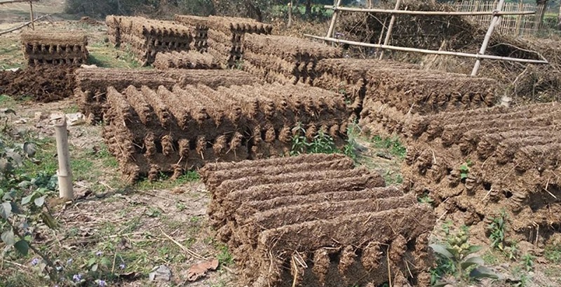 चर्को गर्मीमा ‘गुइँठा’ बनाइँदै