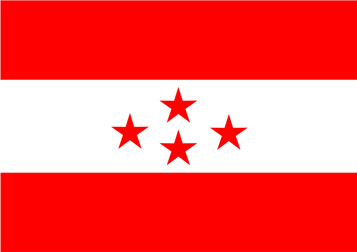 दमकमा कोरोनाका बिरामीको उपचार र व्यवस्थापन गर्न कांग्रेसले भवन दिने