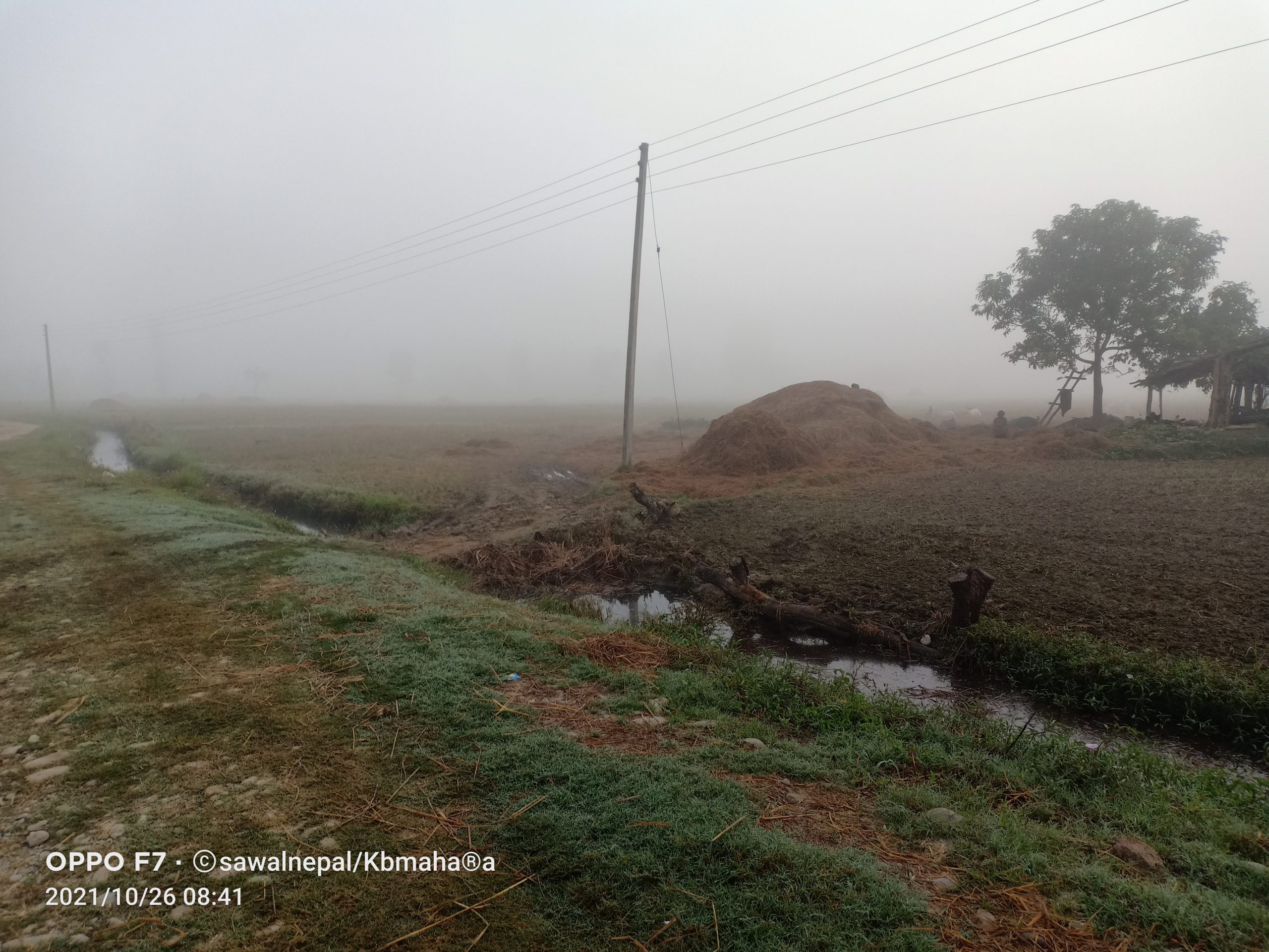 तराईंमा शीतलहर सुरु, सचेत रहन मौशम विदको आग्रह