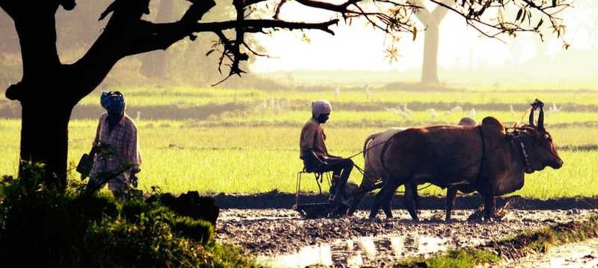 किसानलाई १० हजार अनुदान दिइने