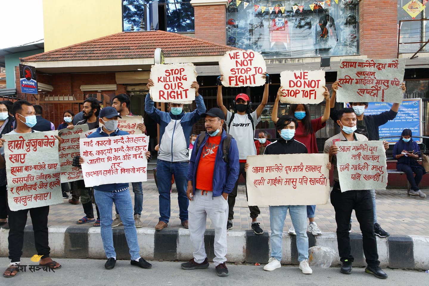 गाईको मासु खान पाउनुपर्ने भन्दै प्रदर्शन