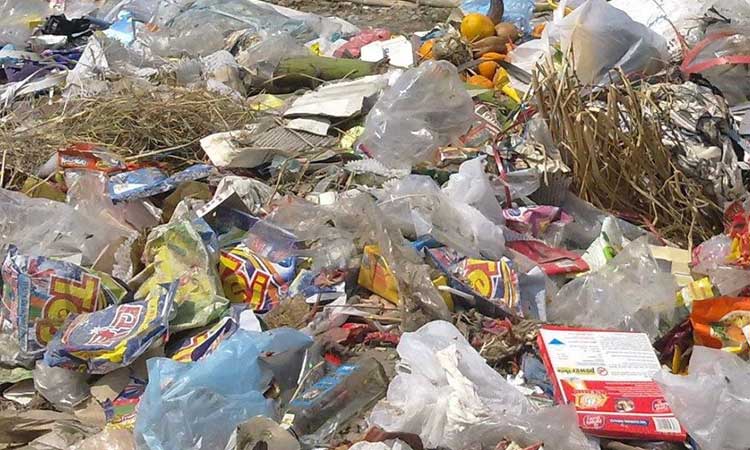 विराटनगरमा दशैंयता उठ्न सकेन फोहोर, शहरभरी फैलियो दुर्गन्ध