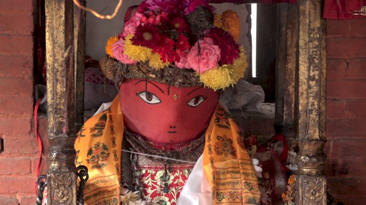 रातो मच्छिन्द्रनाथलाई मङ्सिर २३ गते पाटन ल्याइने