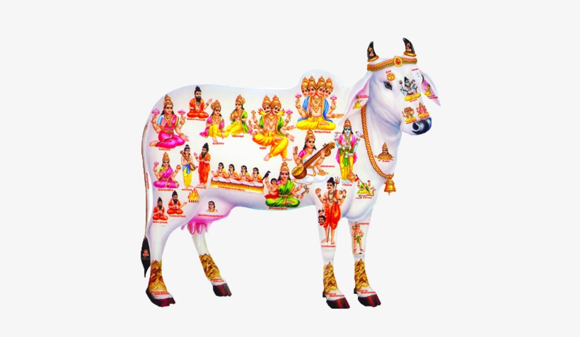 कसले भन्छ भगवान छैनन् ? गाईले पत्तालगाएको गुप्तेश्वर महादेवको महिमा सत्य घटना र स्थानीयको भनाई थाहापाउनुहोस्