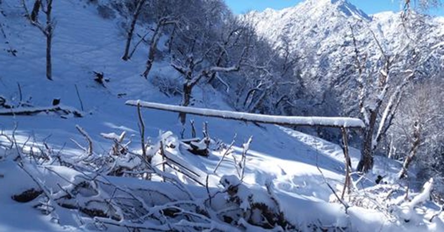 हेलिकप्टरबाट उद्धार गर्न नसकिएको बाबुछोरा ६ दिनपछि आफैं फर्किए