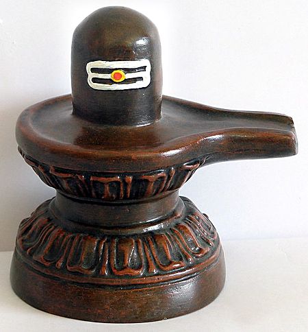 शिवलिङ्गमा चढाएका प्रसाद किन खानु हुँदैन ? यस्तो छ कारण !