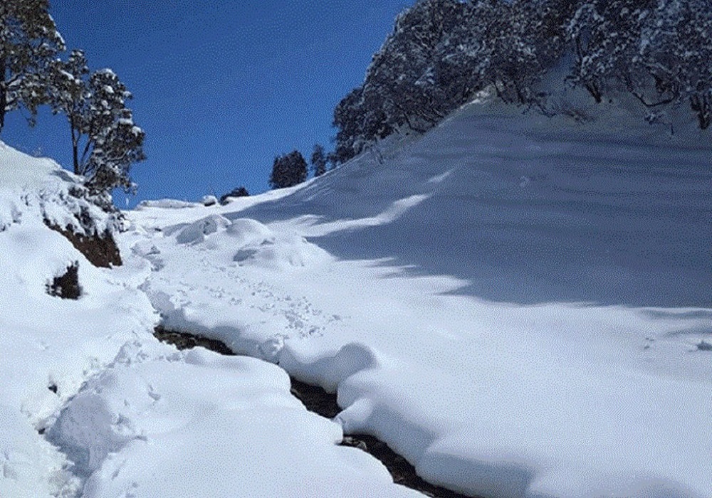 सेतो चिनी संकलन गर्न गएका हुम्लाका ३४ जना ५ दिन देखि हिउँमा फसे