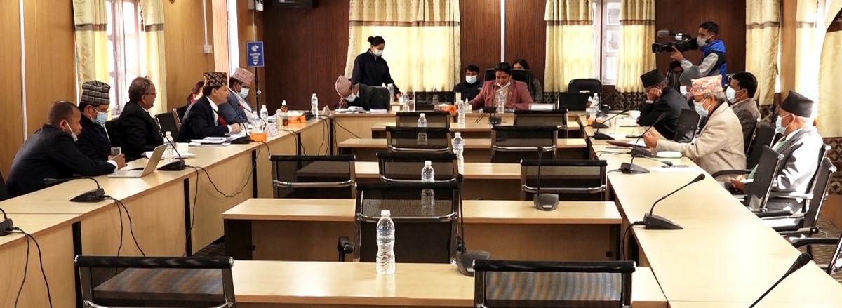 पेट्रोलियम पदार्थको मूल्यवृद्धिबारे संसदीय समितिले छानबिन गर्ने