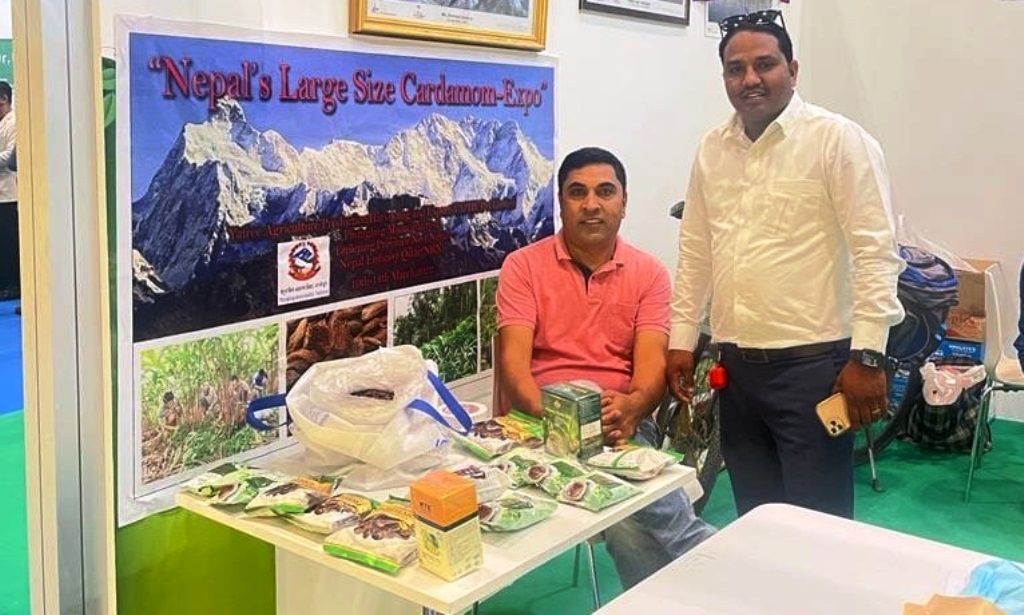 कतारको राजधानी दोहामा प्रदर्शनीमा राखियो,ताप्लेजुङमा फलेको अलैँची
