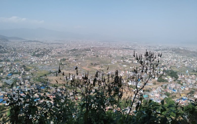 काठमाण्डाै उपत्यकामा अहिलेसम्म १२ जनामा हैजा देखियो