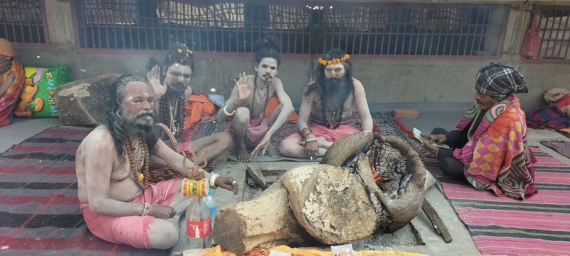 आज महाशिवरात्रि : पशुपतिमा बिहानैदेखि घुइँचो