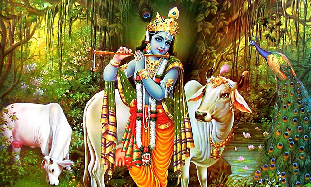 बुधबार श्रीकृष्णको पूजा गर्नुहोस्